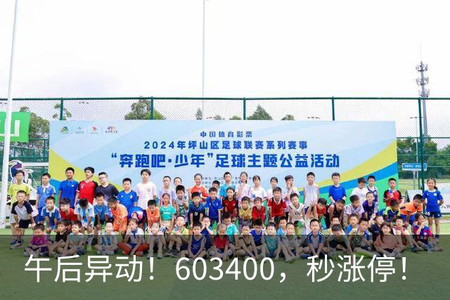 午后异动！603400，秒涨停！