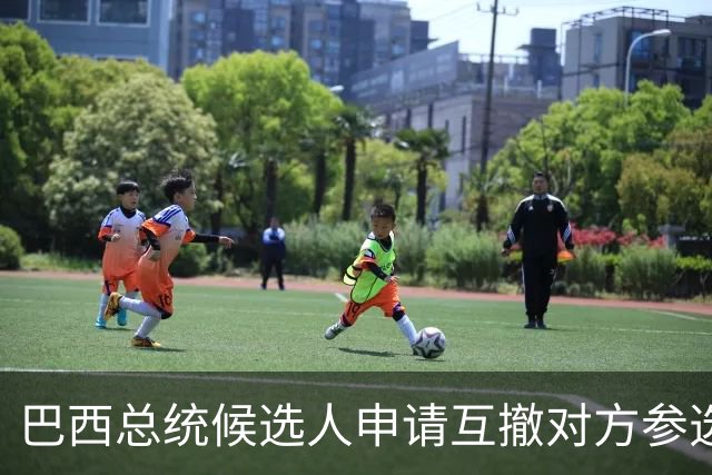 巴西总统候选人申请互撤对方参选资格