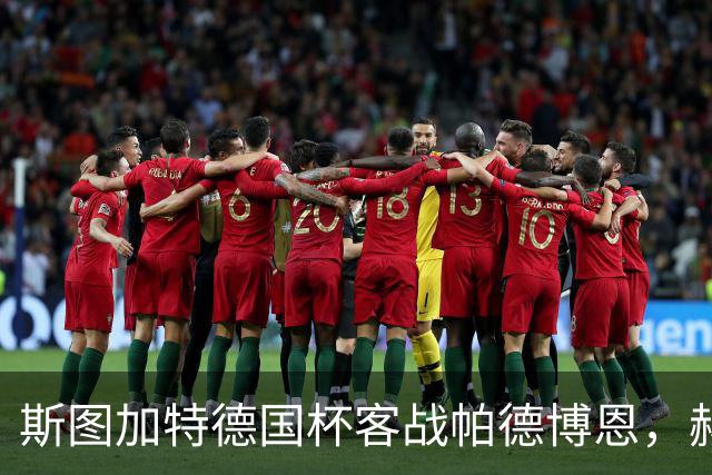 斯图加特德国杯客战帕德博恩，赫内斯要求球队做出回应