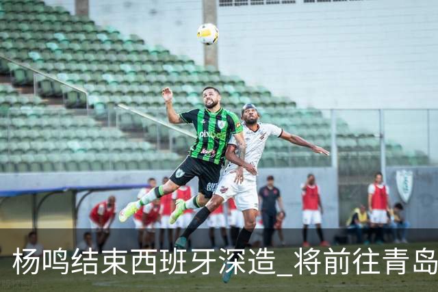 杨鸣结束西班牙深造 将前往青岛观摩男篮集训