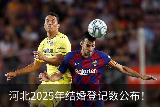 河北2025年结婚登记数公布！