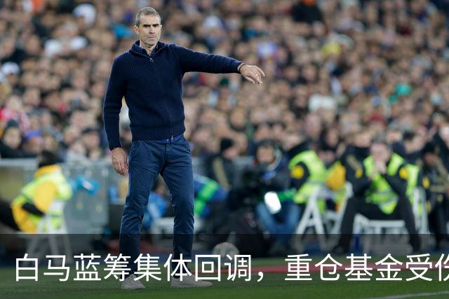 白马蓝筹集体回调，重仓基金受伤有多深？