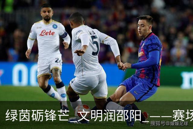 绿茵砺锋芒 文明润邵阳 ——赛场逆势突围挺进八强 文明拼搏激活城市奋进新动能