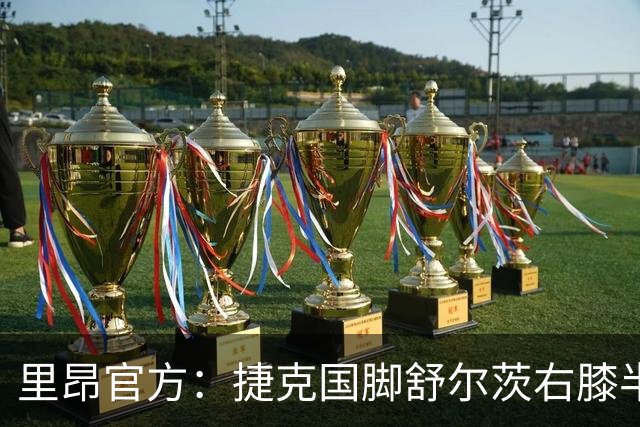 里昂官方：捷克国脚舒尔茨右膝半月板受伤，预计缺阵约4个月