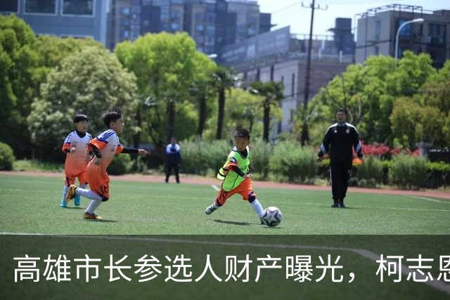 高雄市长参选人财产曝光，柯志恩存款1354万，赖瑞隆有八笔土地四套房