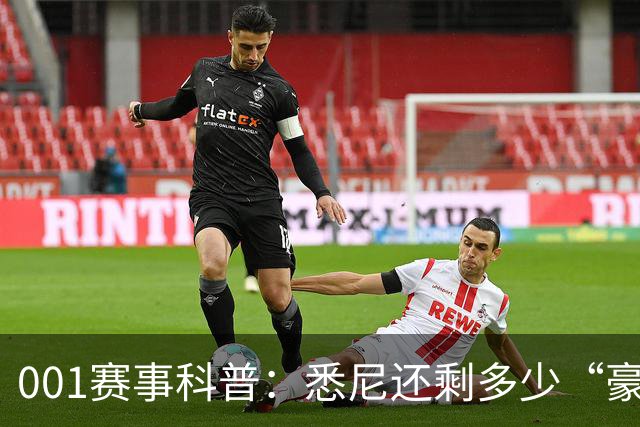 001赛事科普：悉尼还剩多少“豪门滤镜”？古德温能否再救阿德莱德联